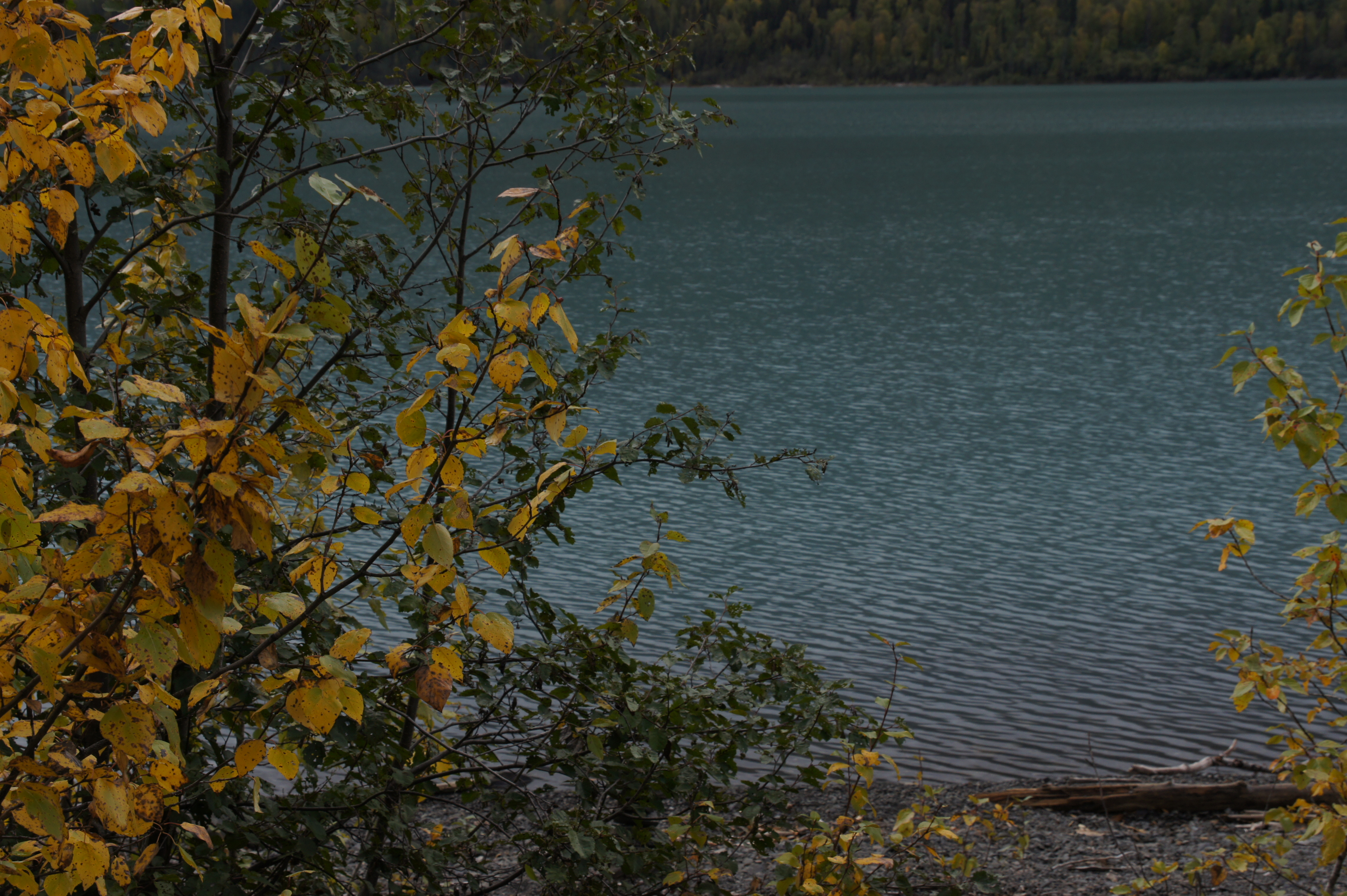 Click to return to the thumbnail index